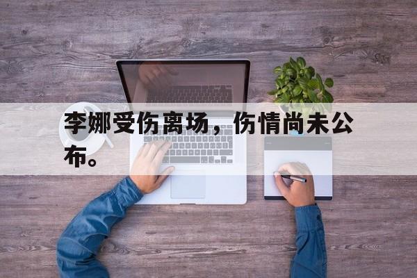 爱游戏网页版入口-李娜受伤离场，伤情尚未公布。