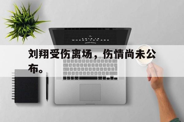 爱游戏网页版入口-刘翔受伤离场，伤情尚未公布。