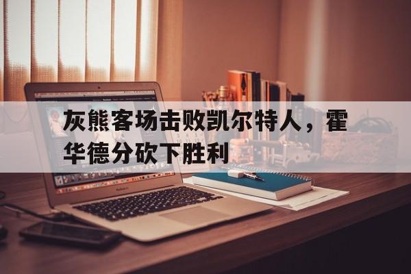 爱游戏网页版官网登录-灰熊客场击败凯尔特人，霍华德分砍下胜利