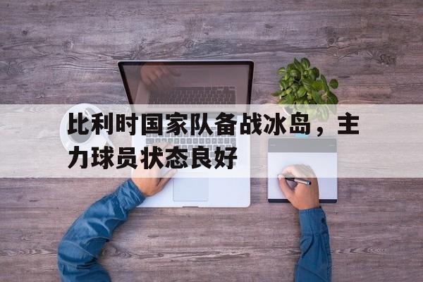 爱游戏网页版官网登录-比利时国家队备战冰岛，主力球员状态良好